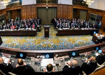 CIJ : Début de la séance d’audience de la plaidoirie égyptienne sur les violations israéliennes