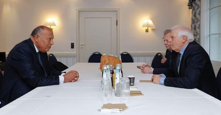 Choucri s'entretient avec Borrell à Munich 2 - Le Progrès Egyptien Choucri s'entretient avec Borrell à Munich 1 - Le Progrès Egyptien