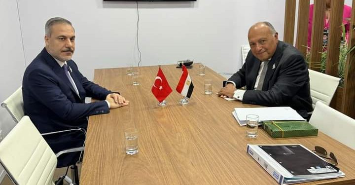 Rio de Janeiro : Choucri se réunit avec son homologue turc 1 - Le Progrès Egyptien