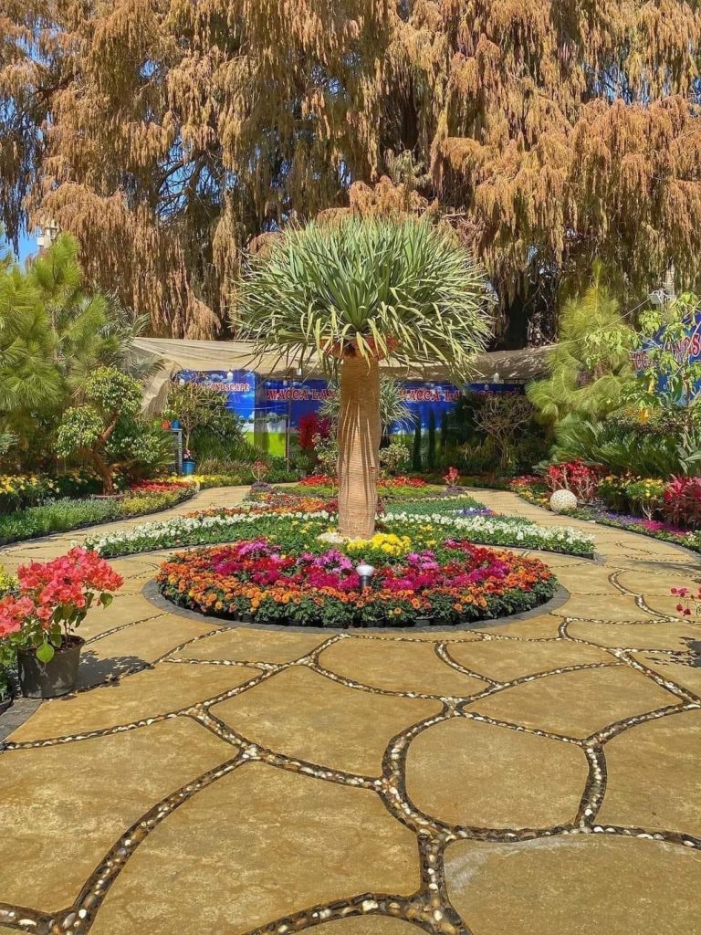 Jardin Al-Orman : Respirez à plein nez les parfums de la nature! 6 - Le Progrès Egyptien Jardin Al-Orman : Respirez à plein nez les parfums de la nature! 5 - Le Progrès Egyptien