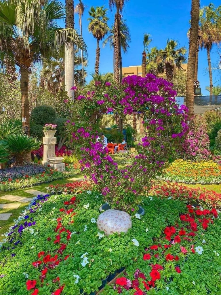 Jardin Al-Orman : Respirez à plein nez les parfums de la nature! 4 - Le Progrès Egyptien Jardin Al-Orman : Respirez à plein nez les parfums de la nature! 3 - Le Progrès Egyptien