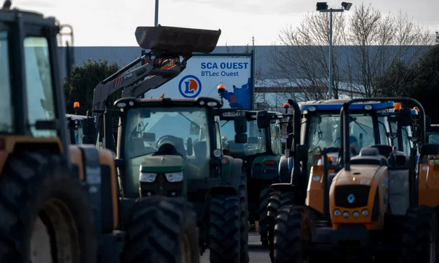 L’Europe et la grande distribution responsables de la crise des agriculteurs 1 - Le Progrès Egyptien