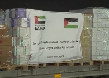 El-Arich : 2 avions d’aide émirati et turc s’envolent vers Gaza