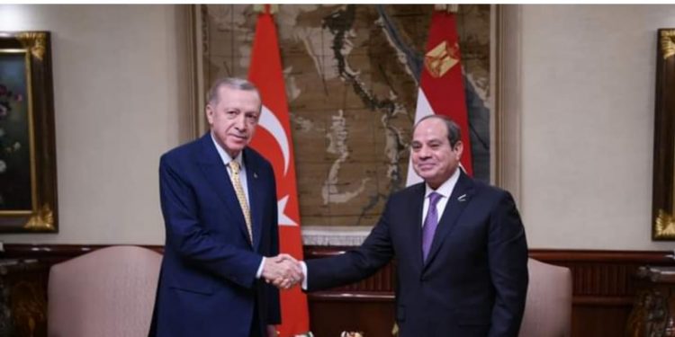 Sommet Al-Sissi-Erdogan au Caire 1 - Le Progrès Egyptien