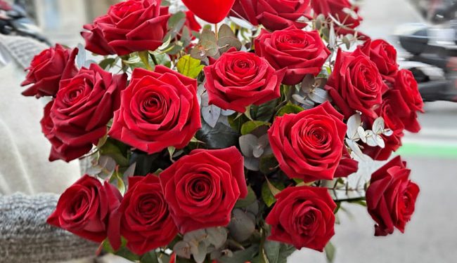 Saint Valentin : Pourquoi la rose rouge? 1 - Le Progrès Egyptien