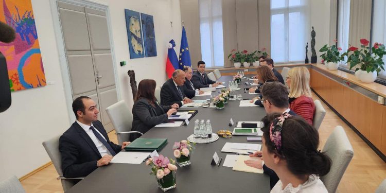 Egypte-Slovénie : Choucri préside le 2e round de la Commission mixte de coopération économique 1 - Le Progrès Egyptien