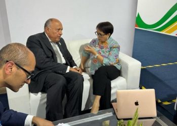 Entretiens égypto-indonésiens en marge du G20