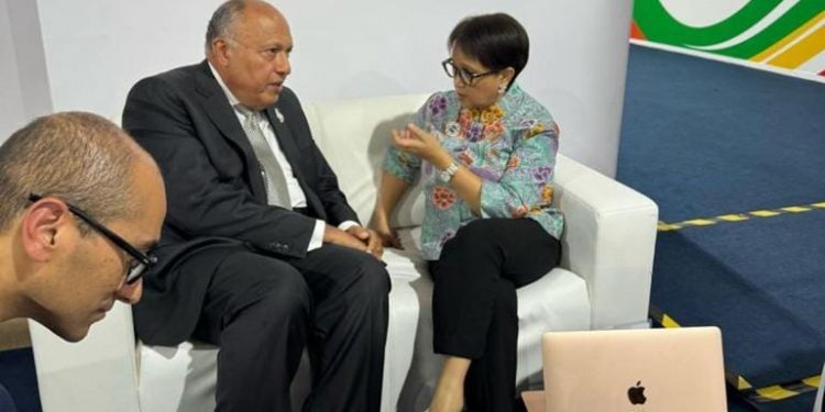 Entretiens égypto-indonésiens en marge du G20 1 - Le Progrès Egyptien