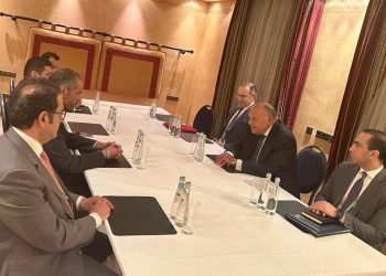 Choucri : L’Egypte fière des relations fraternelles avec le Koweït