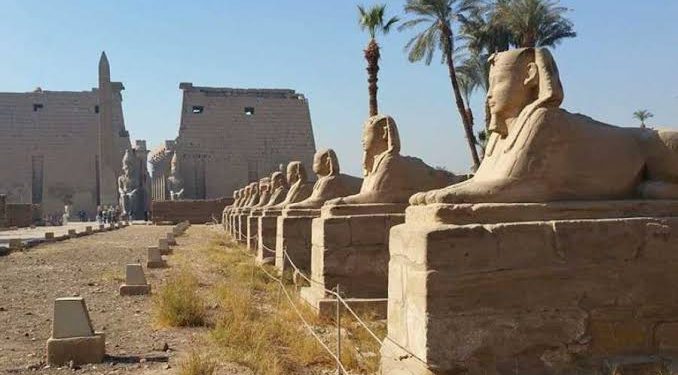 Une balade dans l’univers des royautés 1 - Le Progrès Egyptien