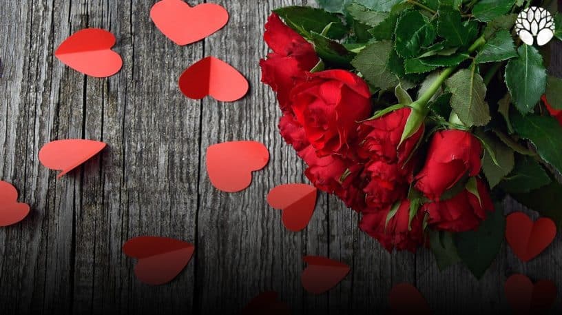 Saint Valentin : Pourquoi la rose rouge? 4 - Le Progrès Egyptien Saint Valentin : Pourquoi la rose rouge? 3 - Le Progrès Egyptien