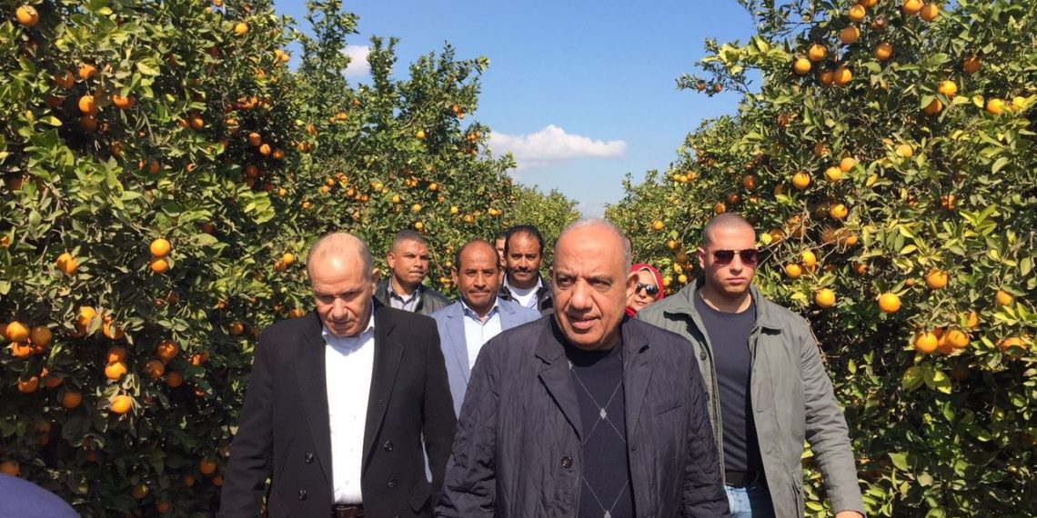 El-Salhiya : Terres convenables aux cultures à rendement économique 2 - Le Progrès Egyptien El-Salhiya : Terres convenables aux cultures à rendement économique 1 - Le Progrès Egyptien