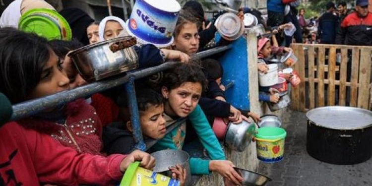 Unicef : Le cessez-le-feu, seul moyen d'éviter la famine à Gaza 1 - Le Progrès Egyptien
