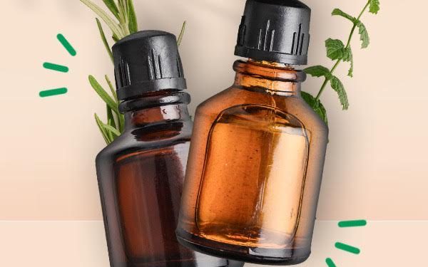 Les huiles essentielles, un monde de douceur salvatrice 1 - Le Progrès Egyptien