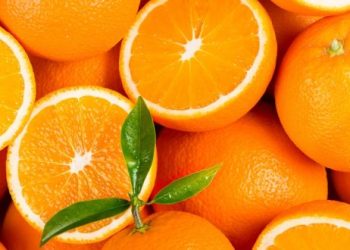 L’Égypte double ses exportations de fruits vers l’UE