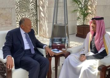 Choucri : L’Egypte est fière de ses relations avec le Qatar