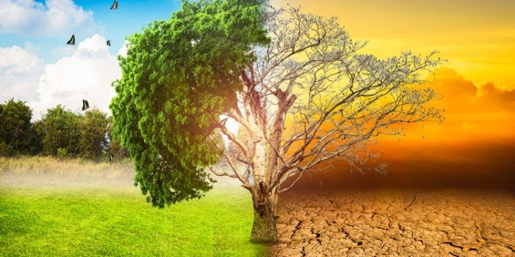 Performance-Changement climatique : L’Egypte au 22ème rang 1 - Le Progrès Egyptien