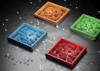 Le langage des bactéries décrypté