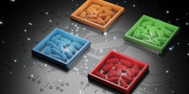 Le langage des bactéries décrypté 1 - Le Progrès Egyptien