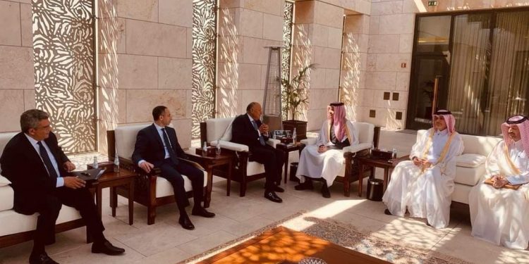 Choucri : L’Egypte est fière de ses relations avec le Qatar 2 - Le Progrès Egyptien Choucri : L’Egypte est fière de ses relations avec le Qatar 1 - Le Progrès Egyptien