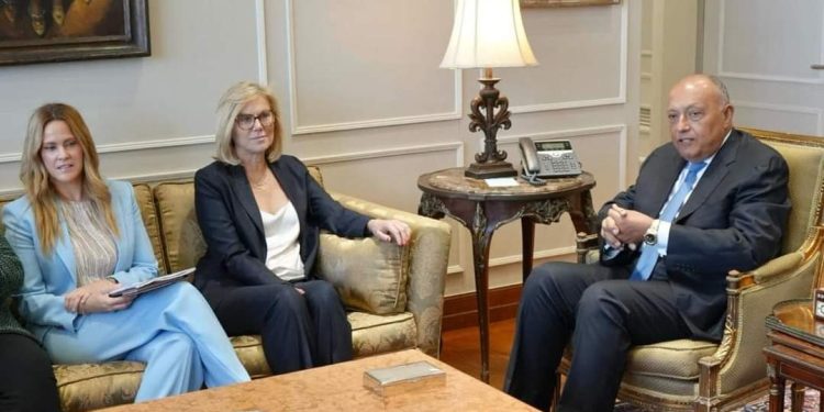 Choucri : Parvenir à un cessez-le-feu immédiat à Gaza inévitable 1 - Le Progrès Egyptien