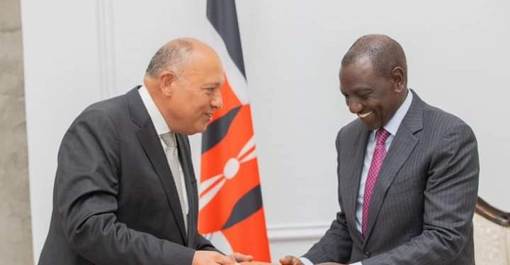 Choucri remet un message d'Al-Sissi au président kenyan 2 - Le Progrès Egyptien Choucri remet un message d'Al-Sissi au président kenyan 1 - Le Progrès Egyptien