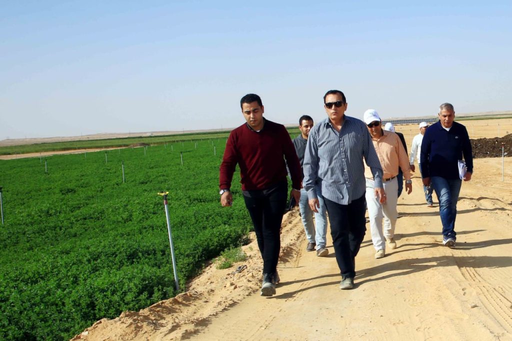 Abdel-Wahab : Nous apprécions la coopération fructueuse avec le ministère de l'Approvisionnement 16 - Le Progrès Egyptien Abdel-Wahab : Nous apprécions la coopération fructueuse avec le ministère de l'Approvisionnement 15 - Le Progrès Egyptien