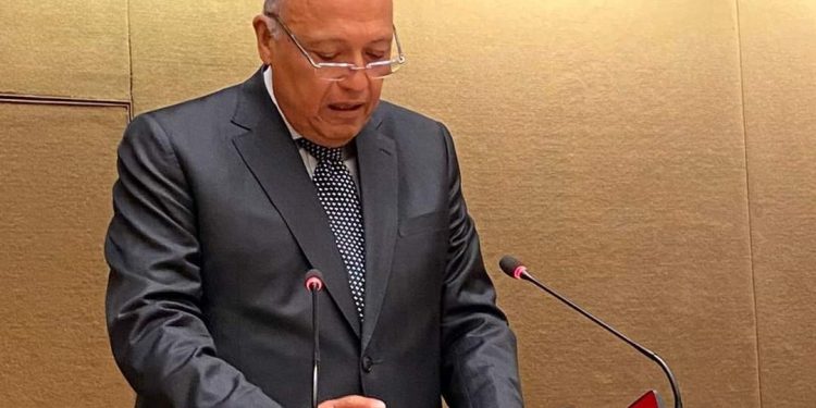 Choucri souligne la profondeur des relations entre l’Égypte et les Pays-Bas 1 - Le Progrès Egyptien