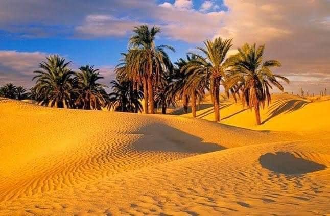 La splendeur du Désert occidental en photos ! 14 - Le Progrès Egyptien La splendeur du Désert occidental en photos ! 13 - Le Progrès Egyptien