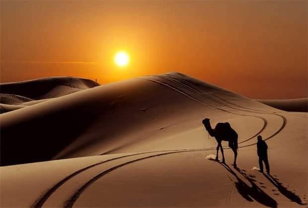 La splendeur du Désert occidental en photos ! 12 - Le Progrès Egyptien La splendeur du Désert occidental en photos ! 11 - Le Progrès Egyptien