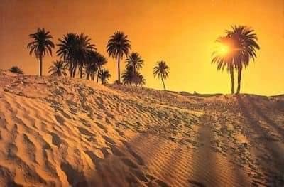La splendeur du Désert occidental en photos ! 10 - Le Progrès Egyptien La splendeur du Désert occidental en photos ! 9 - Le Progrès Egyptien