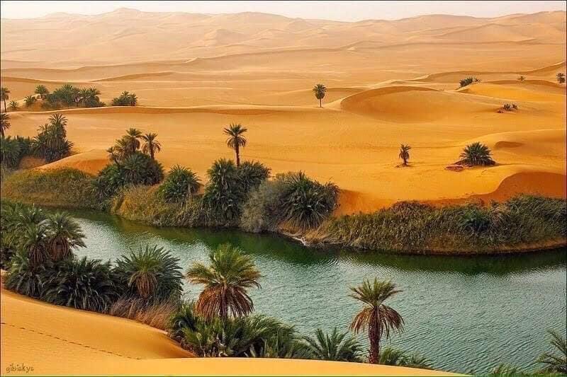 La splendeur du Désert occidental en photos ! 6 - Le Progrès Egyptien La splendeur du Désert occidental en photos ! 5 - Le Progrès Egyptien