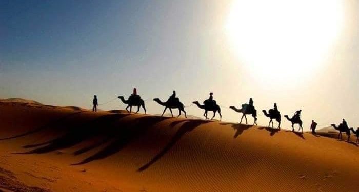 La splendeur du Désert occidental en photos ! 2 - Le Progrès Egyptien La splendeur du Désert occidental en photos ! 1 - Le Progrès Egyptien