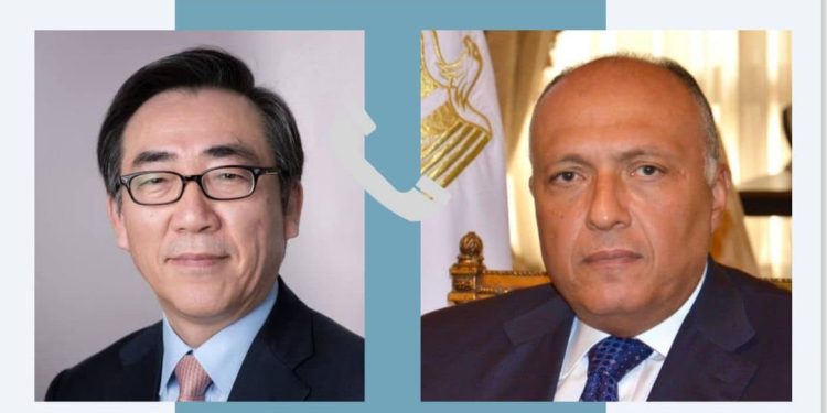 Choucri s’entretient avec son homologue sud-coréen de la coopération et de la guerre à Gaza 1 - Le Progrès Egyptien