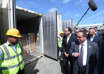 Alexandrie : Madbouli suit le dédouanement immédiat des marchandises