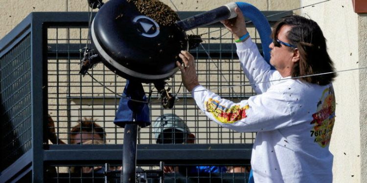 Tennis-Indiana Wells : Le match entre Alcaraz et Zverev perturbé par des abeilles 1 - Le Progrès Egyptien