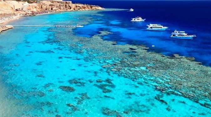 Aïd Al-Fitr: Les réserves naturelles prêtes à accueillir les visiteurs 1 - Le Progrès Egyptien