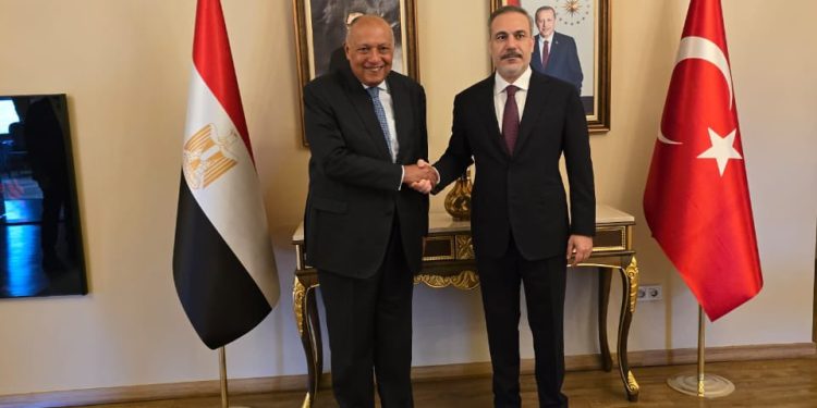 Le ministre des Affaires étrangères rencontre son homologue turc 1 - Le Progrès Egyptien