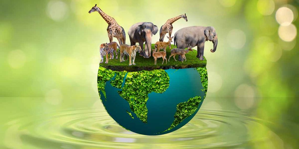 Afrique : Déclin de la biodiversité 1 - Le Progrès Egyptien