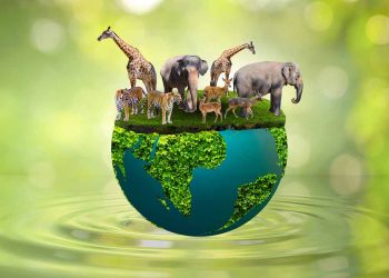 Afrique : Déclin de la biodiversité