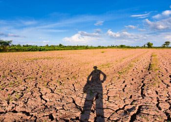 Réchauffement climatique: Le P-O le plus affecté