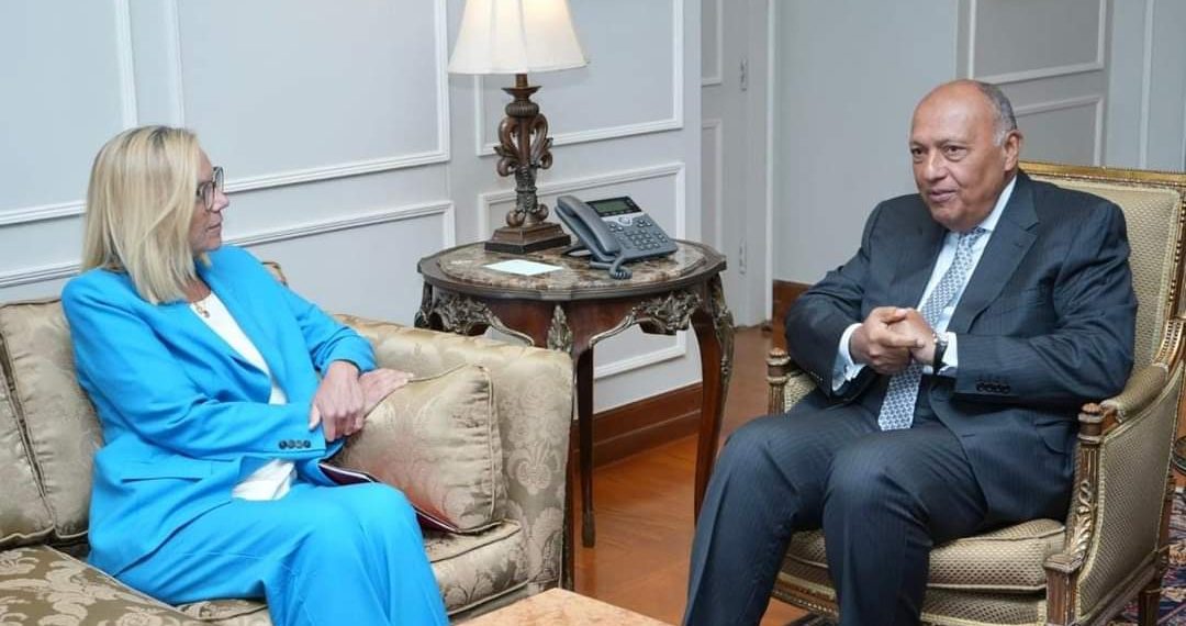 Choucri : Faciliter l’acheminement de l’aide à Gaza 1 - Le Progrès Egyptien