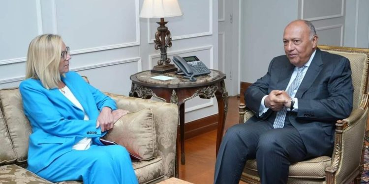 Choucri : Faciliter l’acheminement de l’aide à Gaza 2 - Le Progrès Egyptien Choucri : Faciliter l’acheminement de l’aide à Gaza 1 - Le Progrès Egyptien