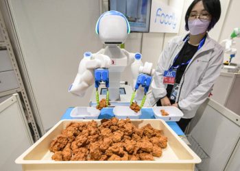 Japon : L’IA pour pallier le manque de main-d’œuvre