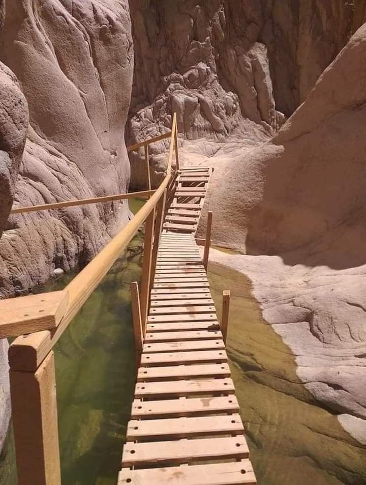 Wadi Al-Wechwach, un joyau caché au sud Sinaï 12 - Le Progrès Egyptien Wadi Al-Wechwach, un joyau caché au sud Sinaï 11 - Le Progrès Egyptien