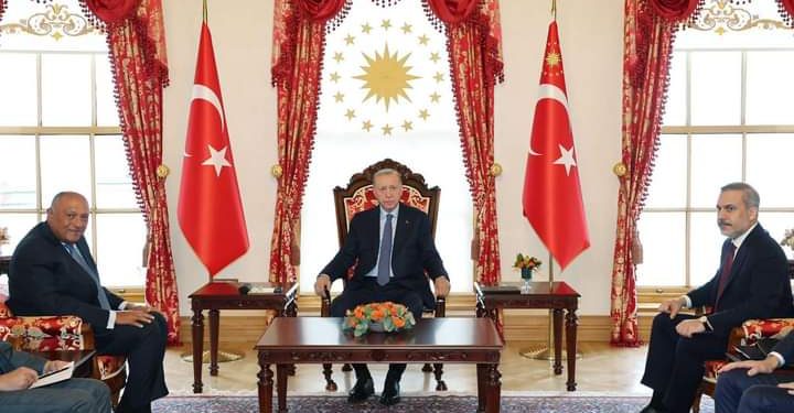 Istanbul : Choucri reçu par le Président turc 1 - Le Progrès Egyptien