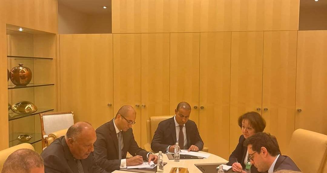 Choucri rencontre son homologue français 1 - Le Progrès Egyptien