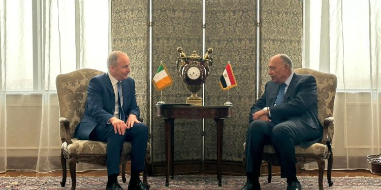 Choucri reçoit son homologue irlandais 1 - Le Progrès Egyptien