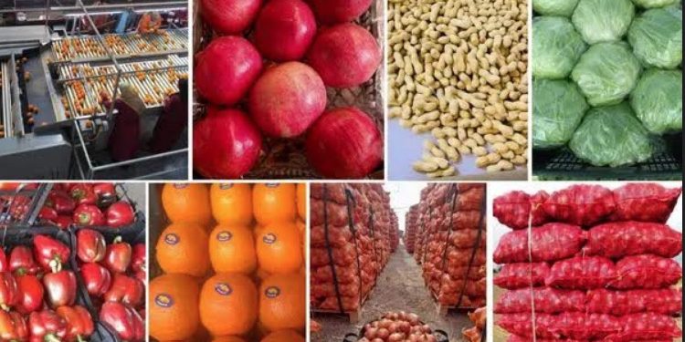 L’Egypte enchaîne les succès à l’export 2 - Le Progrès Egyptien L’Egypte enchaîne les succès à l’export 1 - Le Progrès Egyptien