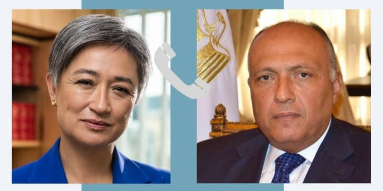 Choucri : Assurer la mise en oeuvre des résolutions onusiennes 1 - Le Progrès Egyptien